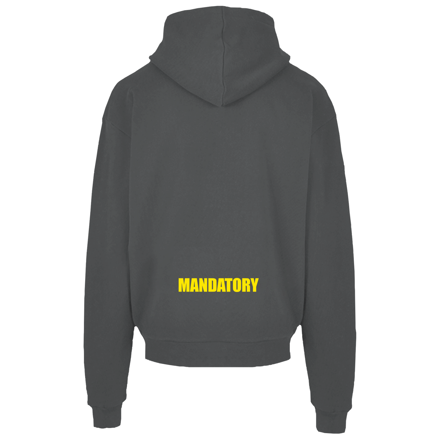 mirror _ heavy hoodie